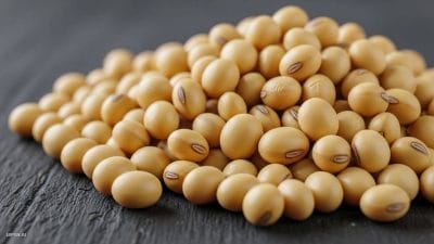 MP की मंडियों में अब किसान देख सकेंगे हर लेन-देन, CCTV निगरानी और हेल्प डेस्क सुविधा हुई शुरू