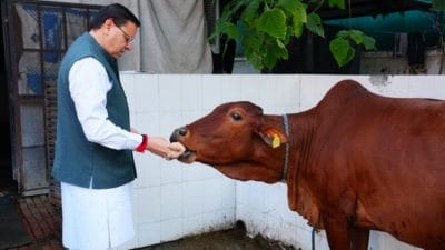 गोवर्धन पूजा पर मुख्यमंत्री धामी ने की गौ पूजा, बोले – गाय हमारी संस्कृति और आत्मनिर्भरता की प्रतीक