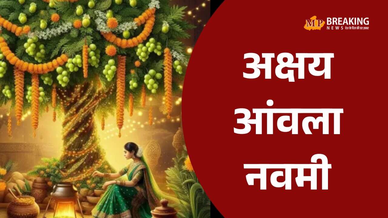Akshaya Navami 2025: कार्तिक शुक्ल नवमी पर आंवला वृक्ष की पूजा क्यों है खास? जानें विष्णु-शिव से जुड़ा महत्व, पूजन विधि और शुभ मुहूर्त