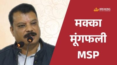 मक्का-मूंगफली की MSP पर हो खरीद: नेता प्रतिपक्ष उमंग सिंघार ने CM को लिखा पत्र, मंडियों में आधे दाम पर खरीद का आरोप