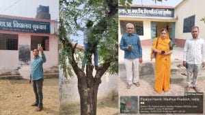 आगर मालवा: डिजिटल हाजिरी बनी मुसीबत, नेटवर्क के लिए पेड़ पर चढ़ने को मजबूर शिक्षक