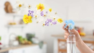 Diwali 2025: अगर सफाई के बाद भी घर के कुछ हिस्सों से आ रही है बदबू, पाएं छुटकारा, घर में ऐसे बनाएं आयुर्वेदिक फ्रेशनर