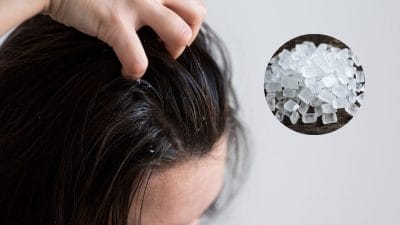 कपूर के ये हेयर हैक्स बालों को बनाए सुपर हेल्दी और चमकदार, जानें कैसे करें इस्तेमाल