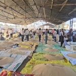 Neemuch poppy market