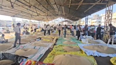 दो दिन में ही 2 लाख प्रति क्विंटल से घटकर डेढ़ लाख हुआ पोस्त का भाव, किसानों में आक्रोश