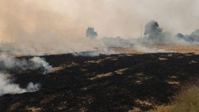 पराली जलाना प्रतिबंधित, आदेश का उल्लंघन करना 11 किसानों को पड़ा भारी, जिला प्रशासन ने लगाया जुर्माना