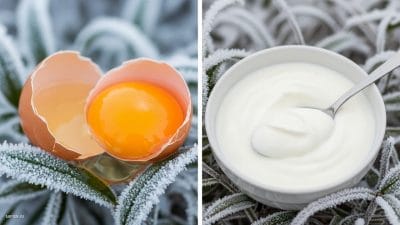 सर्दियों में बालों के लिए क्या बेहतर? अंडा या दही, आर्टिकल में जानें