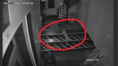 राजधानी जयपुर के रिहायशी क्षेत्रों में तेंदुए का मूवमेंट, लोगों में दहशत, वन विभाग कर रहा सर्चिंग