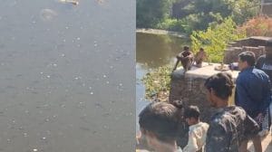 तालाब के पानी में मिलाया ज़हर! हजारों मछलियों की मौत, पुलिस और प्रशासन से शिकायत