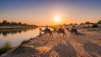भिंड में रेगिस्तान जैसा मज़ा! चंबल किनारे शुरू हुई ऊंट सफारी, मात्र इतने रुपये में उठायें लुत्फ़