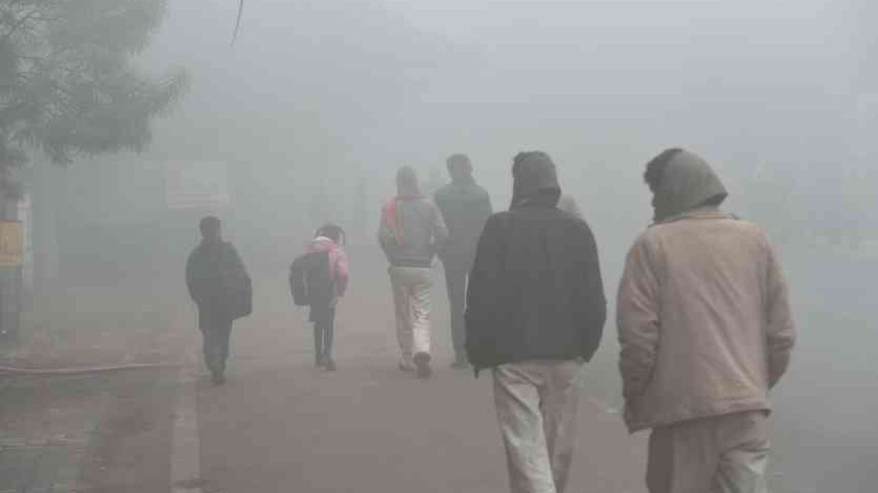 शीतलहर से बचाव के लिए सरकार ने जारी की एडवाइजरी, बताये  Do’s & Don’ts , अधिकारियों को निर्देश