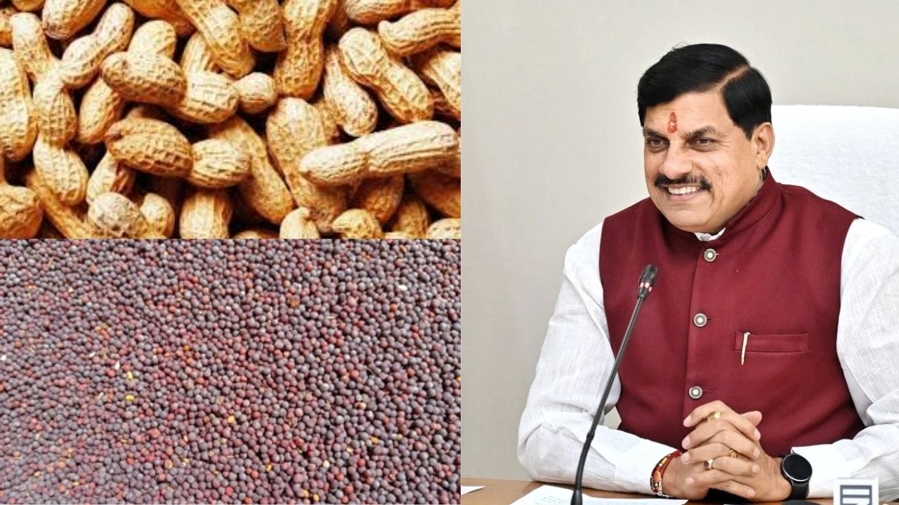 किसानों के लिए अच्छी खबर, भावांतर योजना में सरसों और मूंगफली भी होगी शामिल, मौसम आधारित बीमा योजना लागू करेगी सरकार