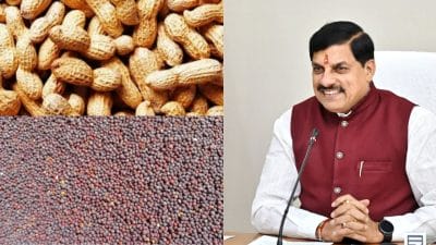 किसानों के लिए अच्छी खबर, भावांतर योजना में सरसों और मूंगफली भी होगी शामिल, मौसम आधारित बीमा योजना लागू करेगी सरकार