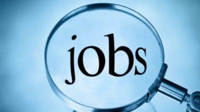 नौकरी की तलाश कर रहे युवाओं के लिए सुनहरा अवसर! जालंधर नगर निगम में 1196 पदों पर निकली भर्ती