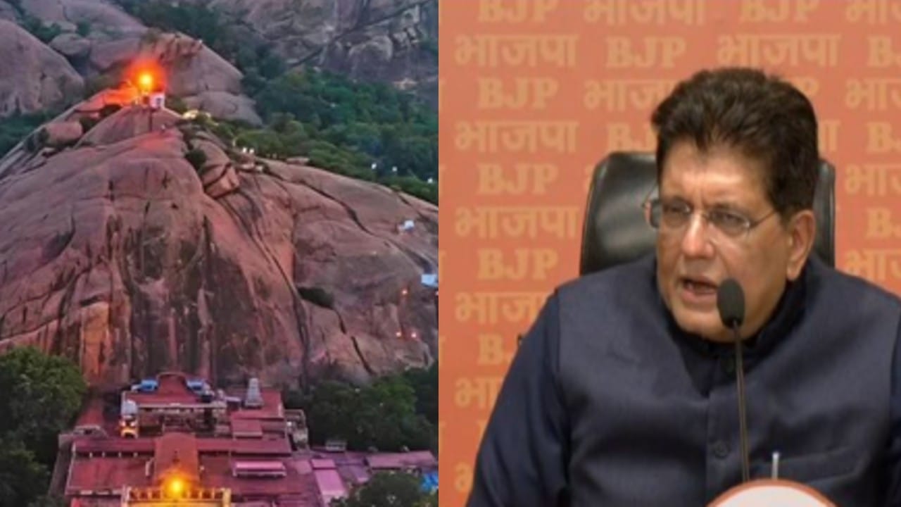 तिरुप्परनकुंद्रम पहाड़ी पर दीप जलाने की अनुमति, बीजेपी ने तमिलनाडु सरकार पर बोला हमला, कहा- ‘DMK हिंदुओं के खिलाफ’